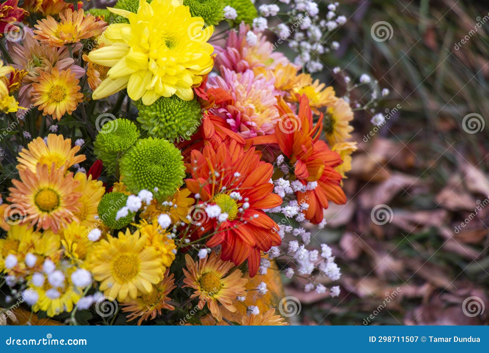 Autumn flowers bad stock image. Image of bouquet, home 298711507