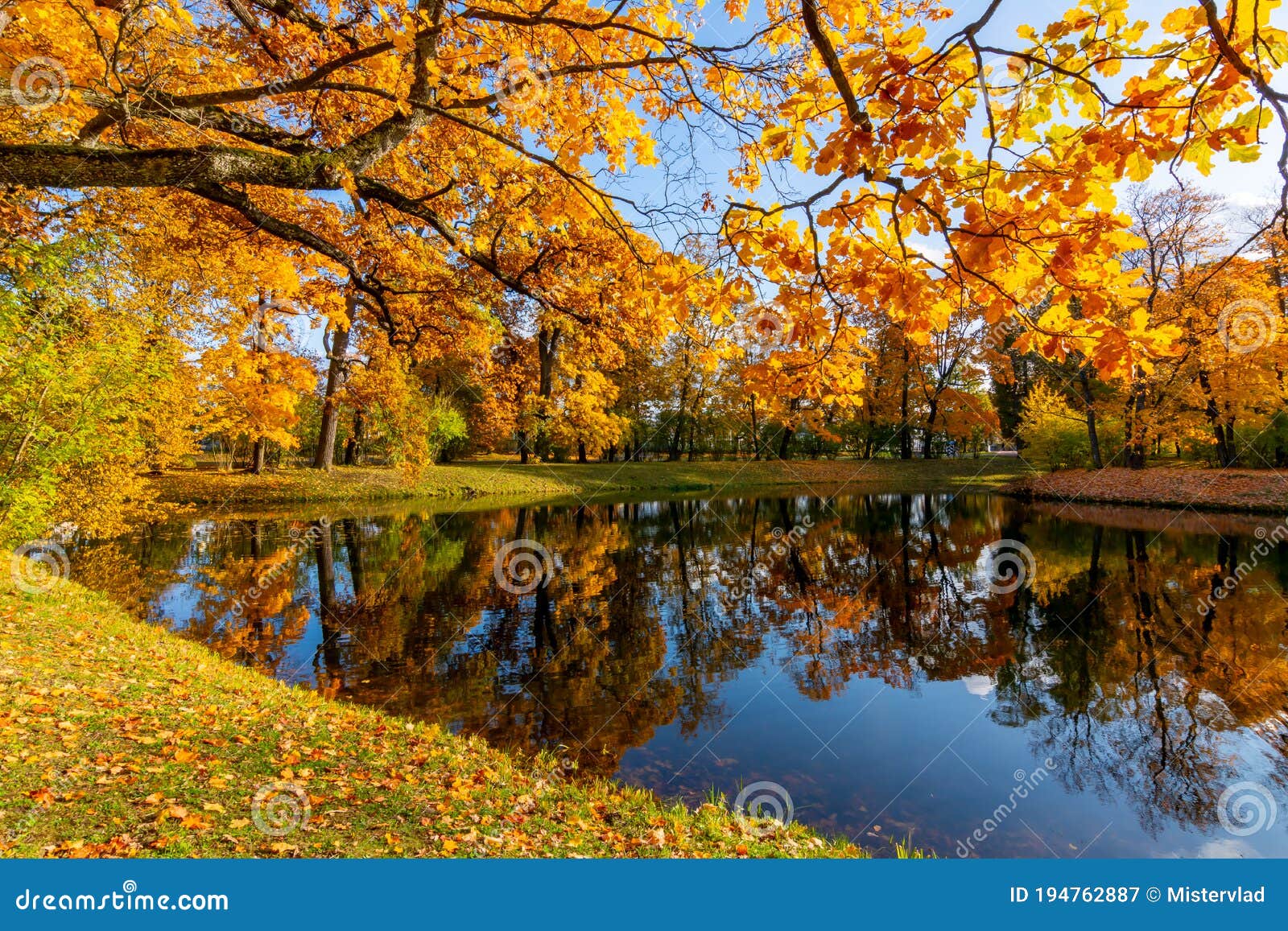 Autumn Foliage in Alexander Park, Tsarskoe Selo Pushkin, St. Petersburg ...