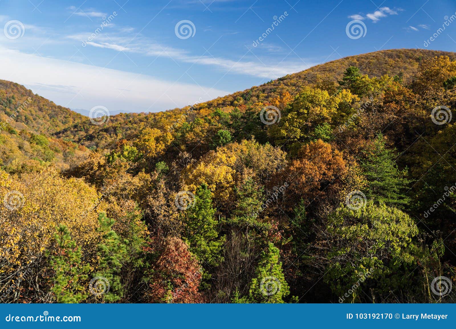 Autumn Foliage on the Blue Ridge Mountians Stock Photo - Image of drive