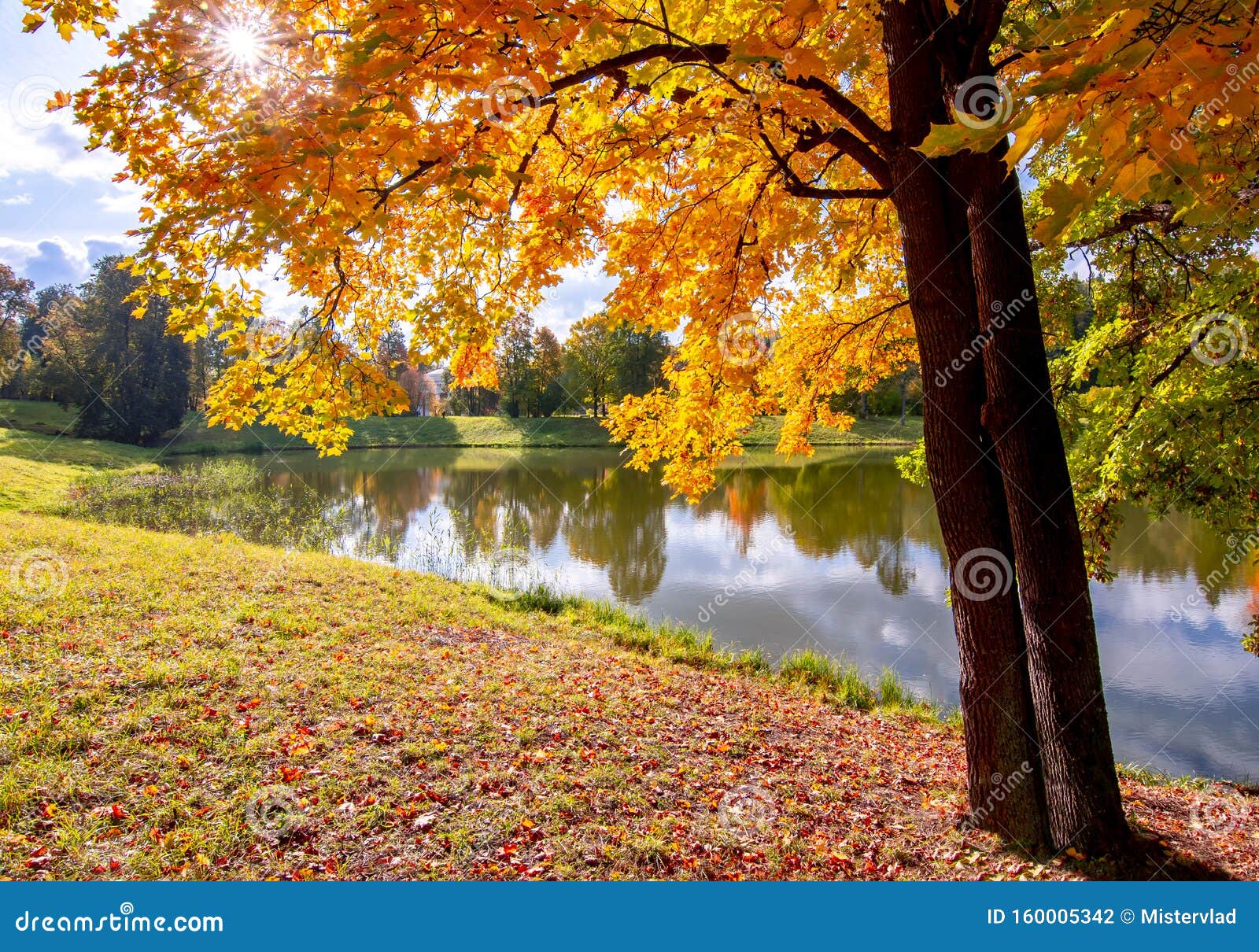 Autumn Foliage in Pavlovsky Park, Pavlovsk, Saint Petersburg, Russia ...