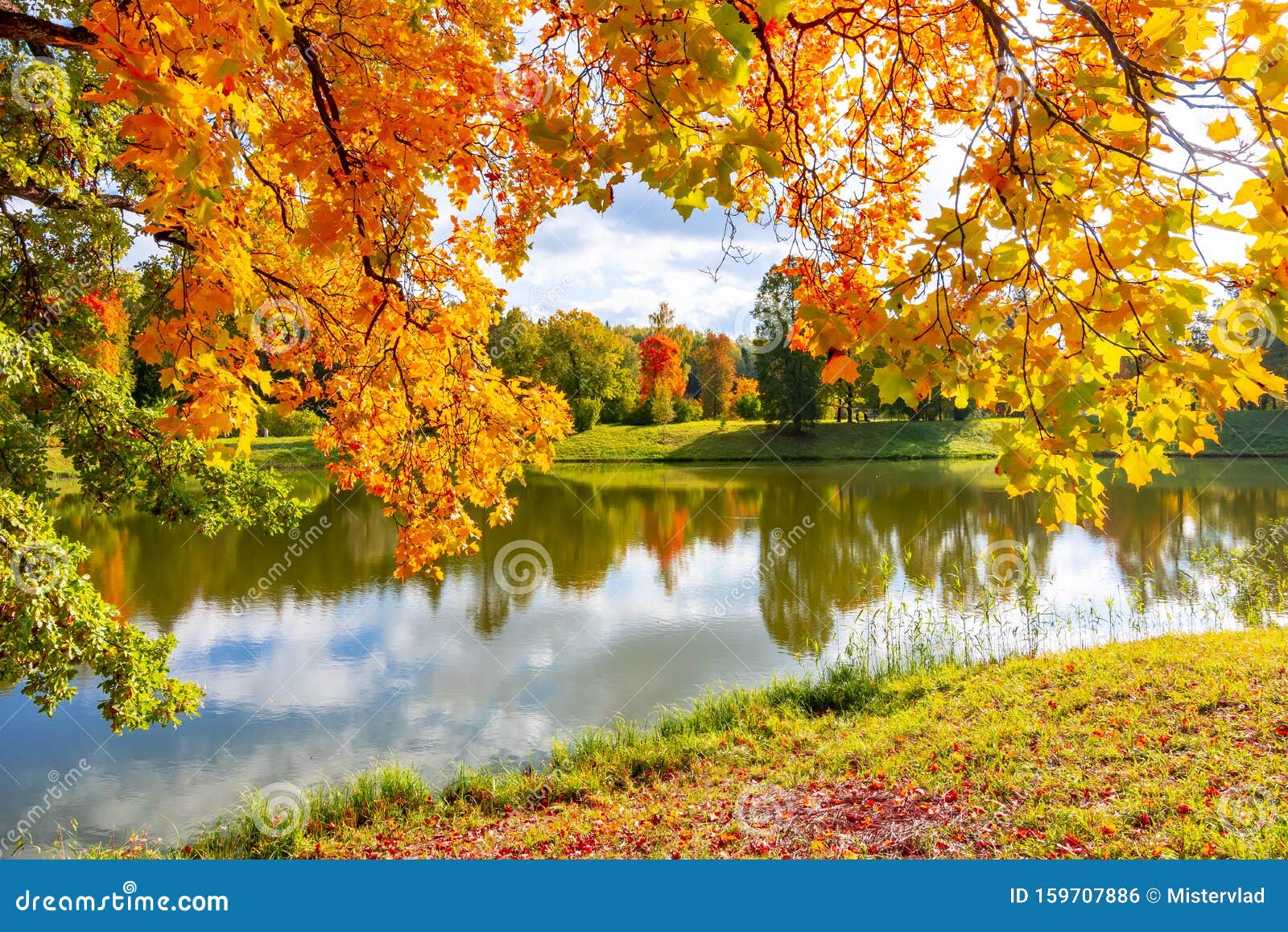 Autumn Foliage in Pavlovsky Park, Pavlovsk, St. Petersburg, Russia ...