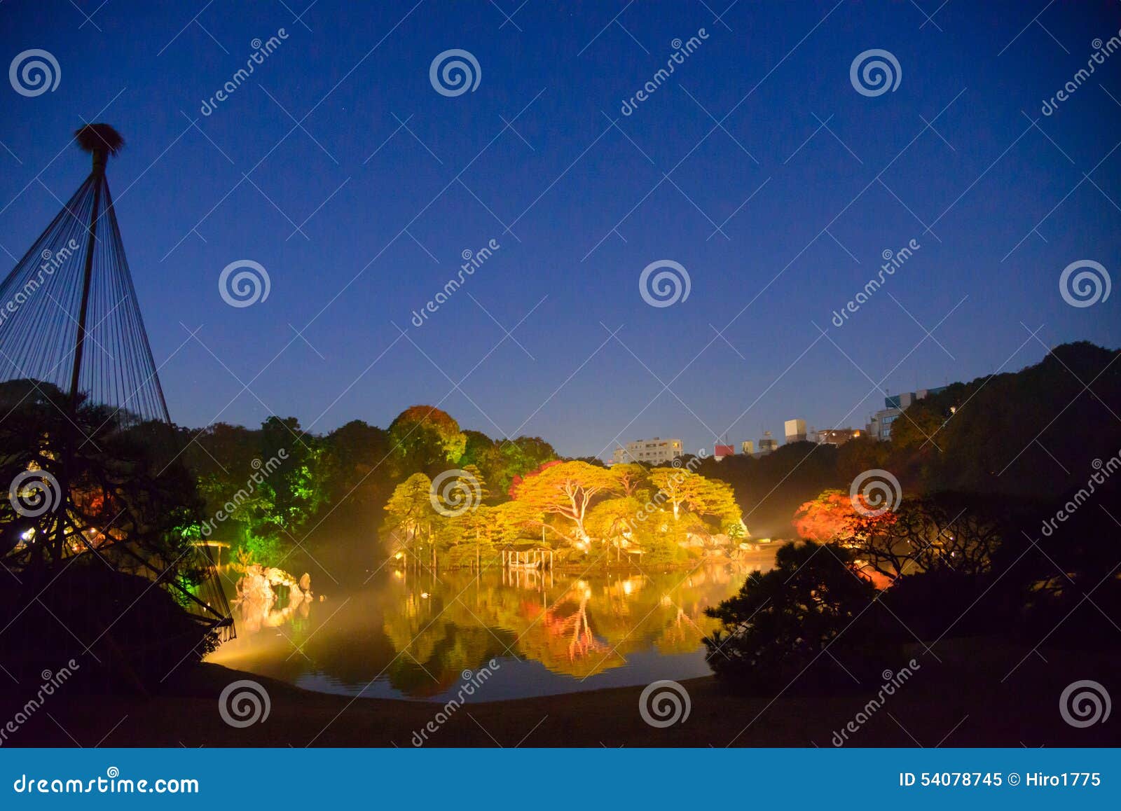 autumn foliage in rikugien garden, komagome, tokyo