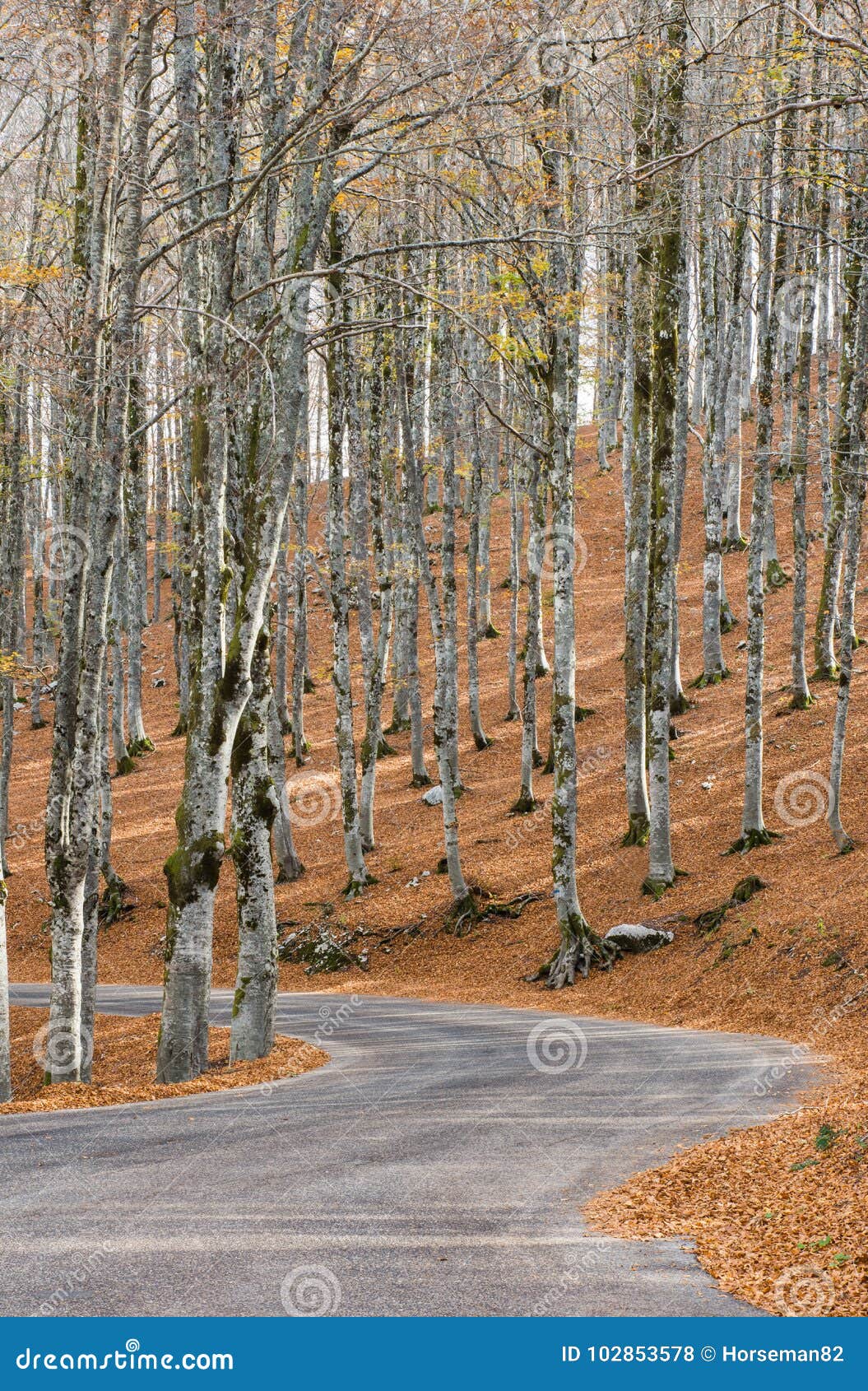 autumn in forca d`acero, abruzzo national park, italy