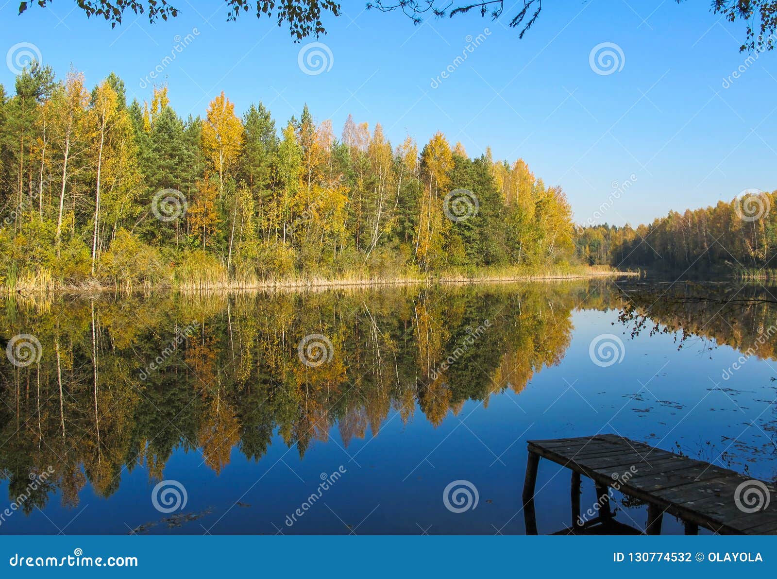 Autumn Forest with a Beautiful Lake in Sunny Day. Bright Colorful Trees ...