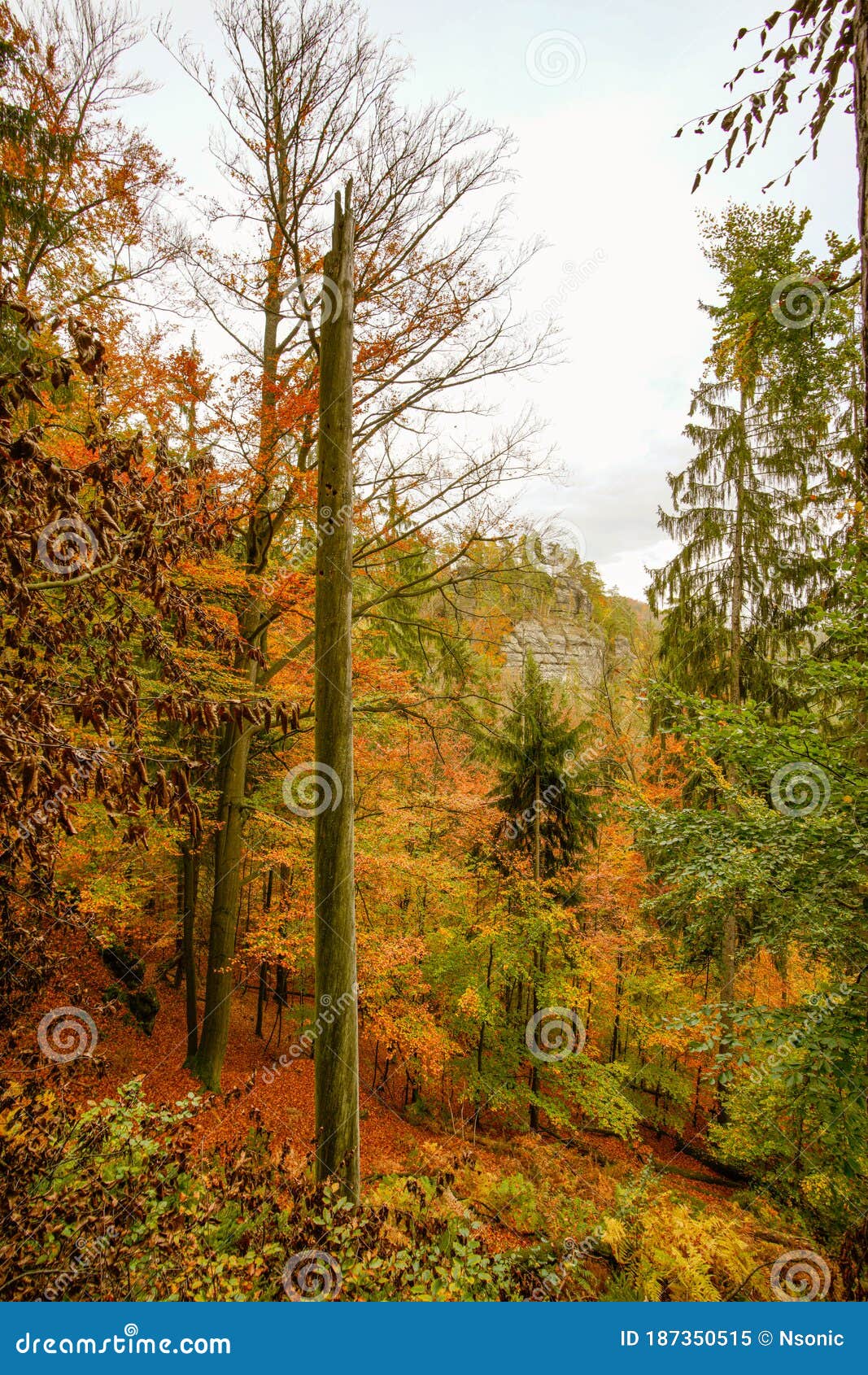 autumn in bohemian switzerland, czech republic