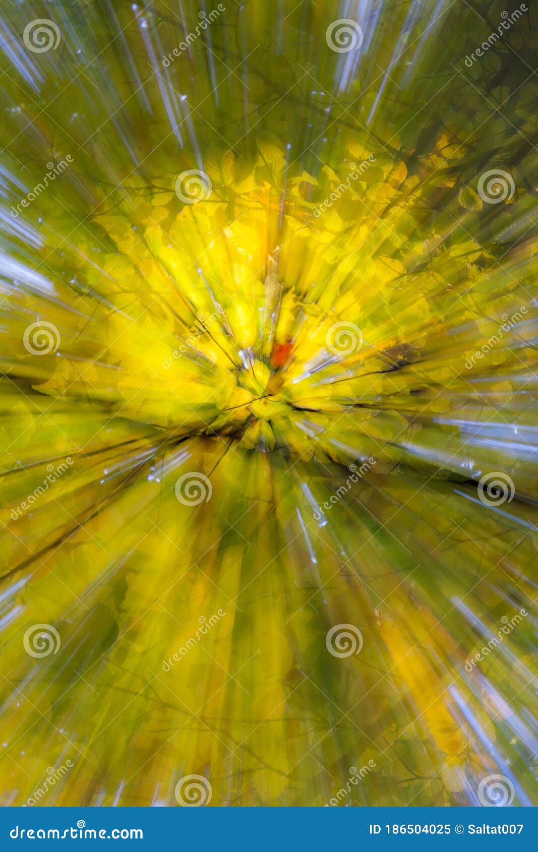 autumn forest on a bright sunny day. abstract photo. colorful textured background. long shutter speed