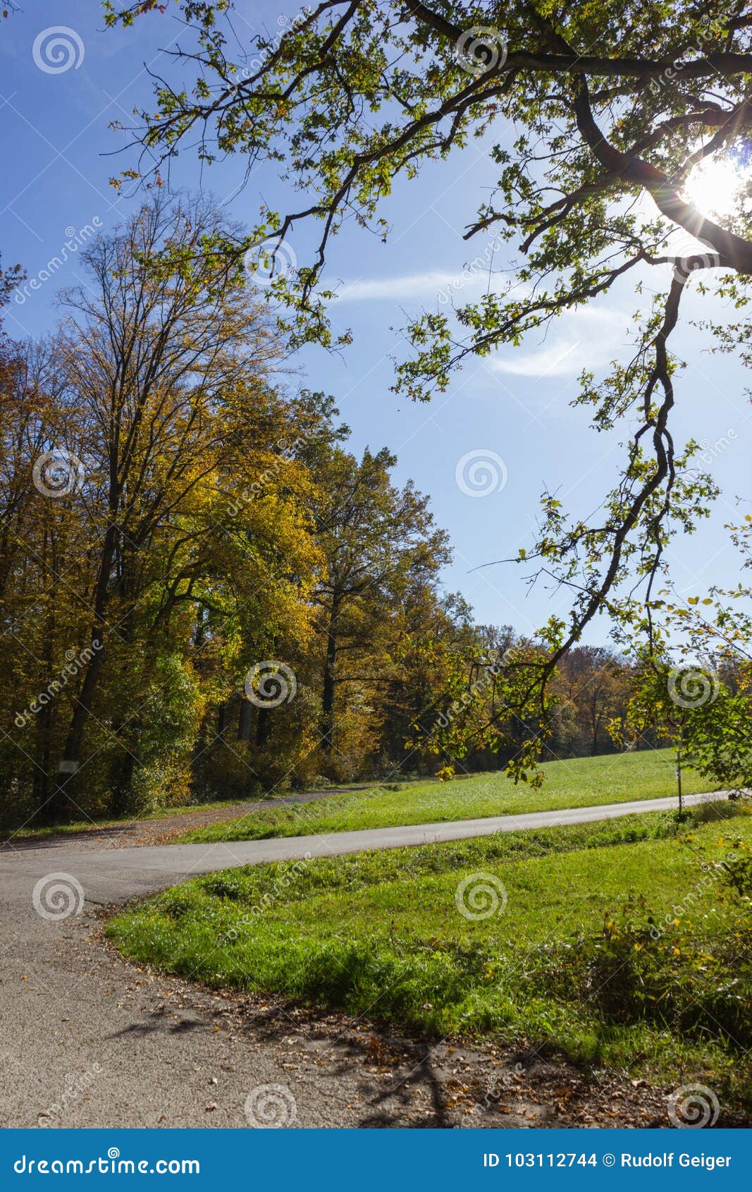 Autumn Forest in Indian Summer Colors Stock Photo - Image of