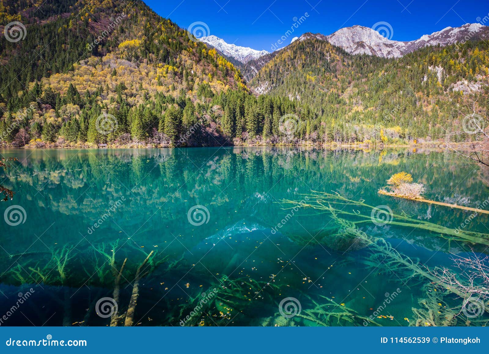 Autumn Forest And Lake Landscape In Jiuzhaigou Stock Image Image Of