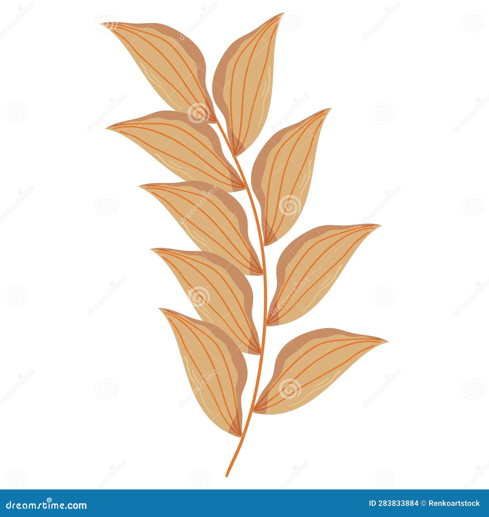 Autumn Forest Leaf Branch Illustration Stock Vector Illustration of