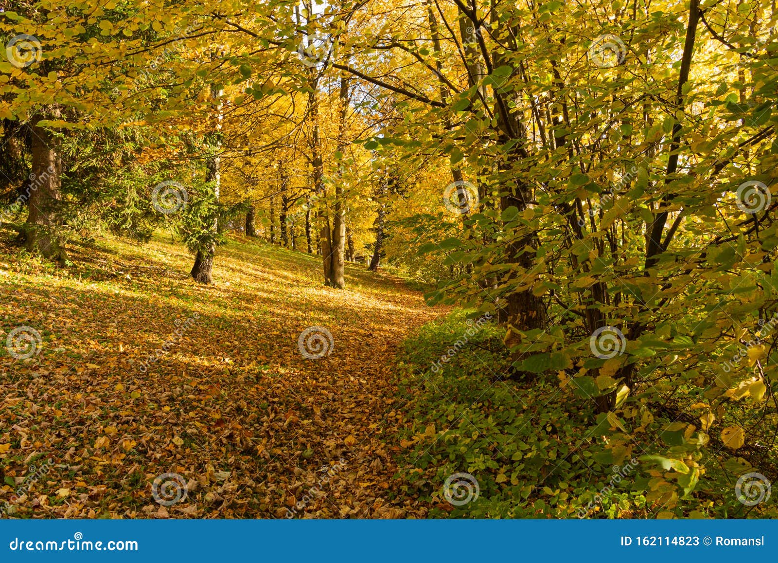 fall scenery fall scenery