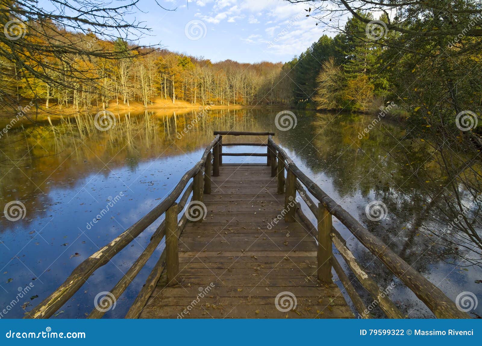 autumn in the foresta umbra, gargano, italy