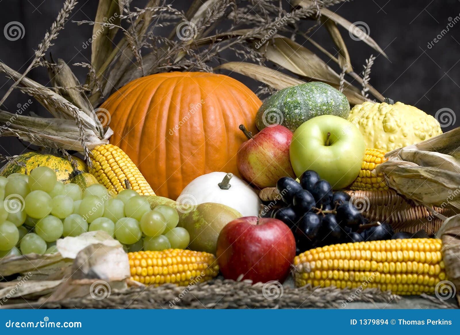 Autumn Fruit 4 Stock Images Image 1379894