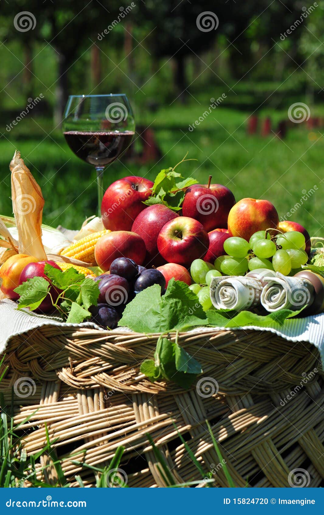 Autumn fruit basket stock photo. Image of colors, grape 15824720