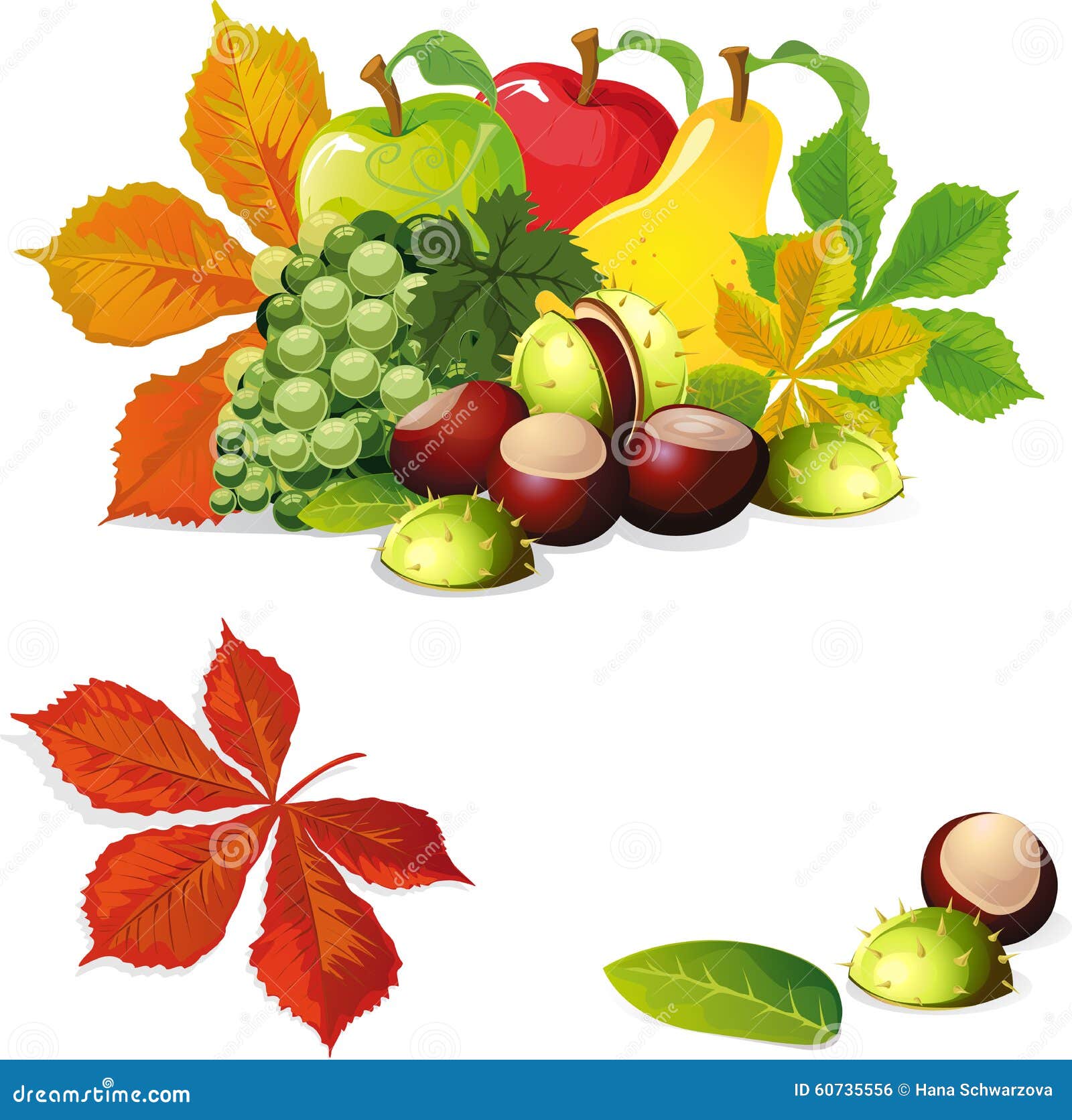 Autumn Fruit and Leaves Vector Illustration Stock Vector