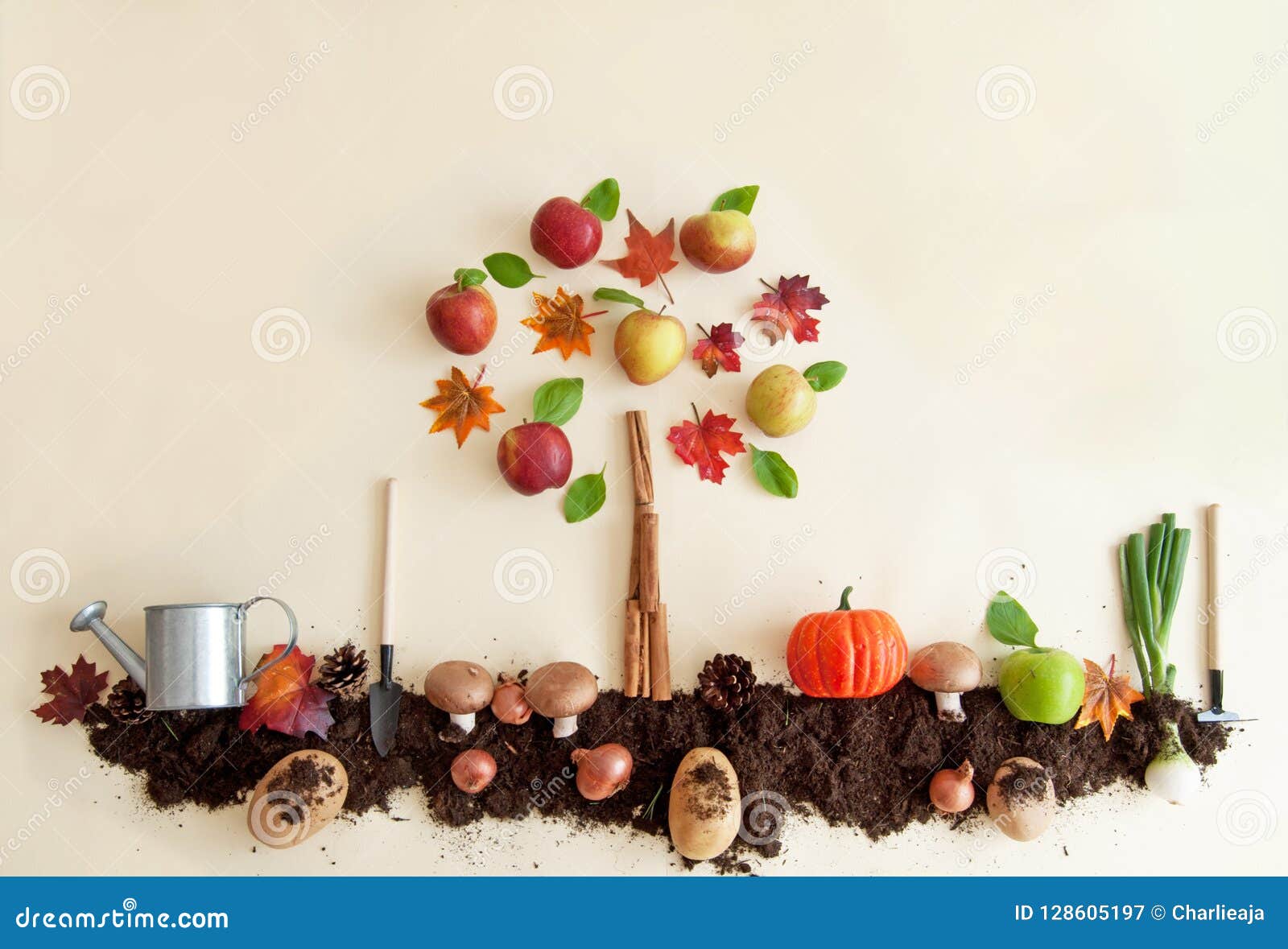 Autumn Fruit and Vegetable Garden Stock Image Image of crop, local
