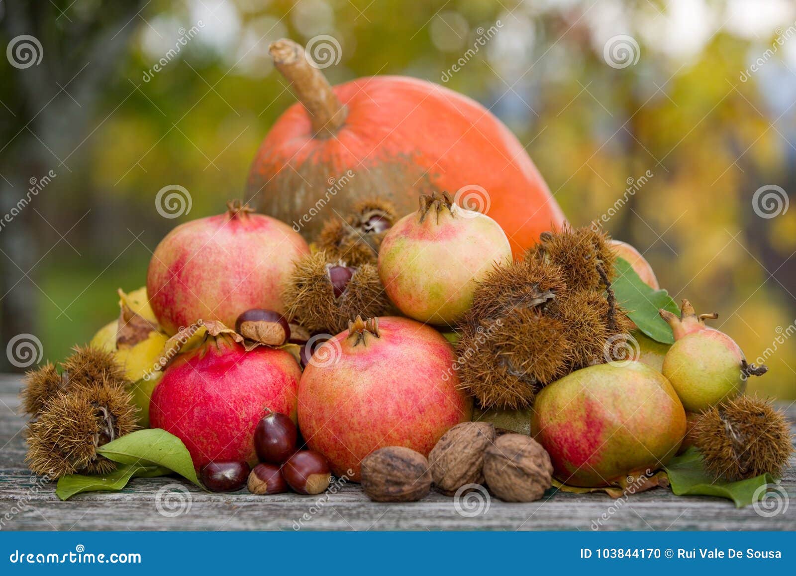 Autumn Fruits stock foto. Image of mooi, vrucht, gras - 103844170