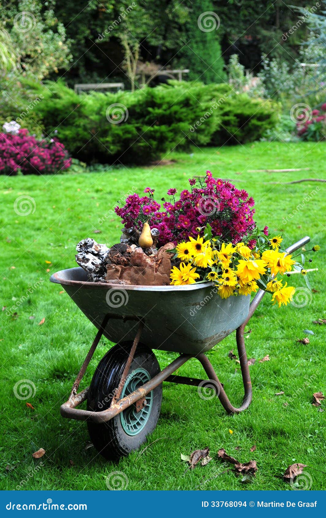 autumn garden harvest