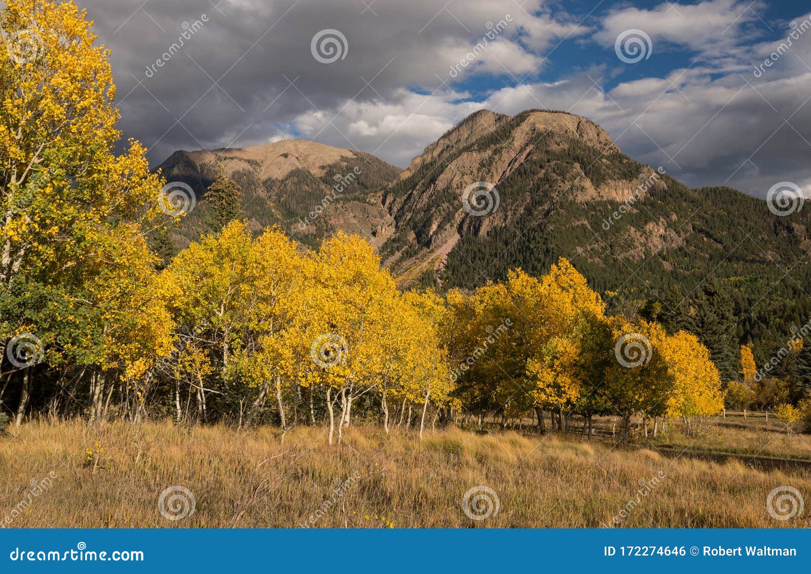cimarrona campground is north of pagosa springs, colorado.