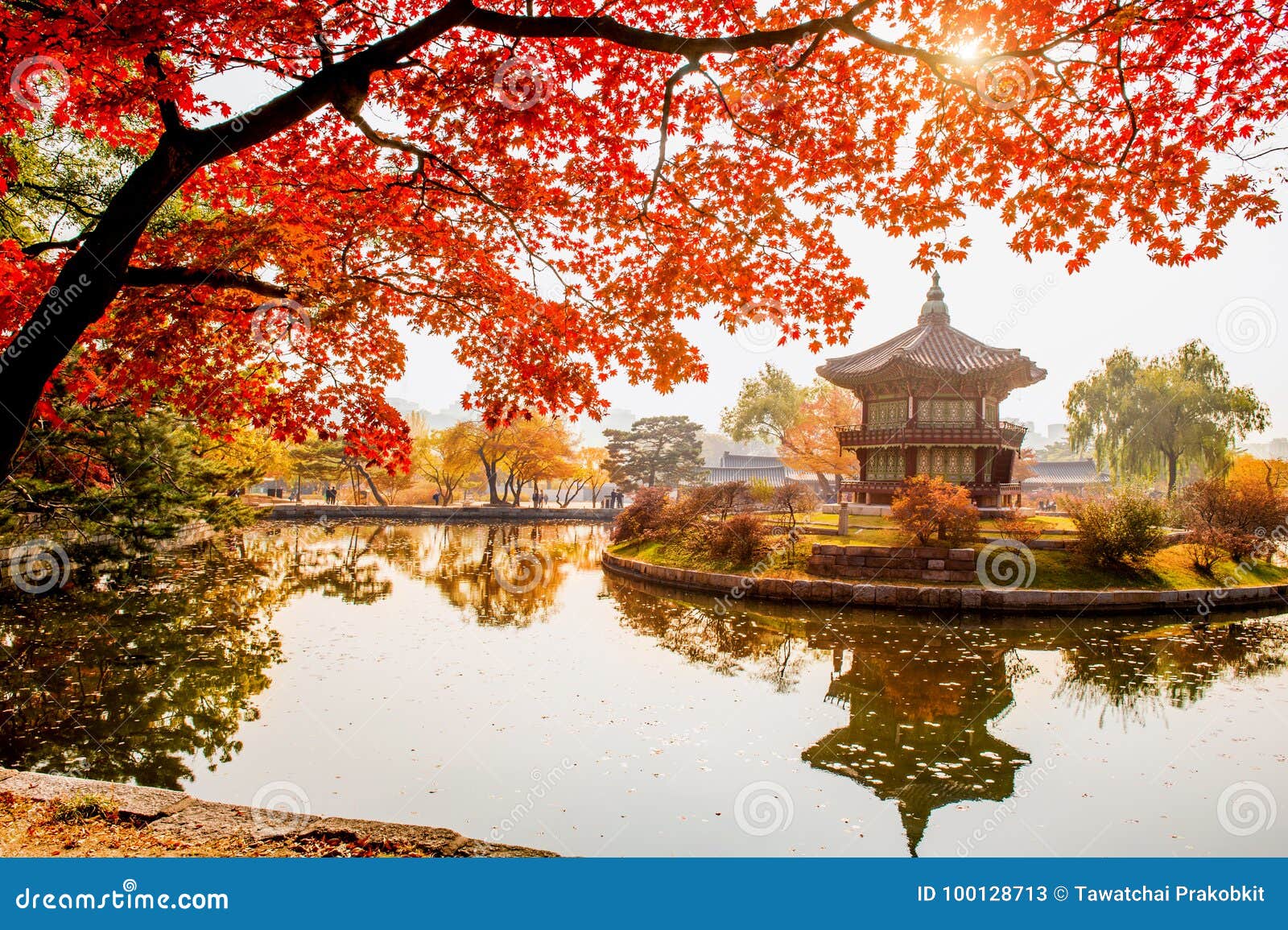 autumn in gyeongbokgung palace, seoul in south korea