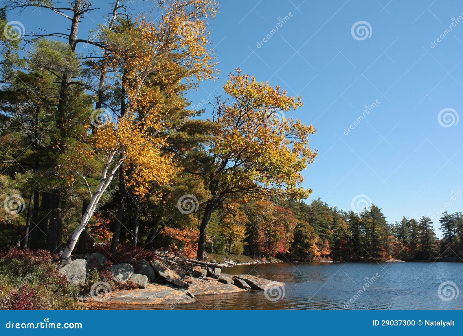 Autumn at Hardy Lake stock photo. Image of shrub, nature 29037300