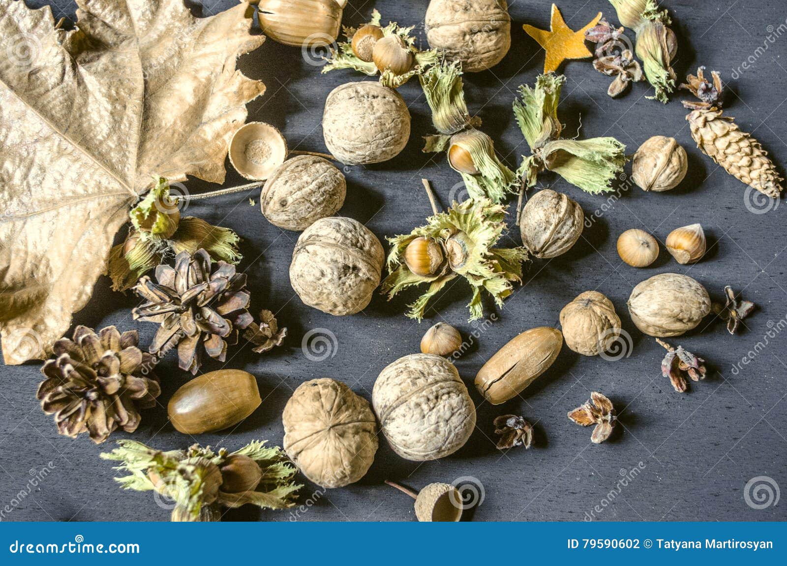 Autumn Harvest of Hazelnuts with Dry Peduncle,nuts,pine Cones,acorns on
