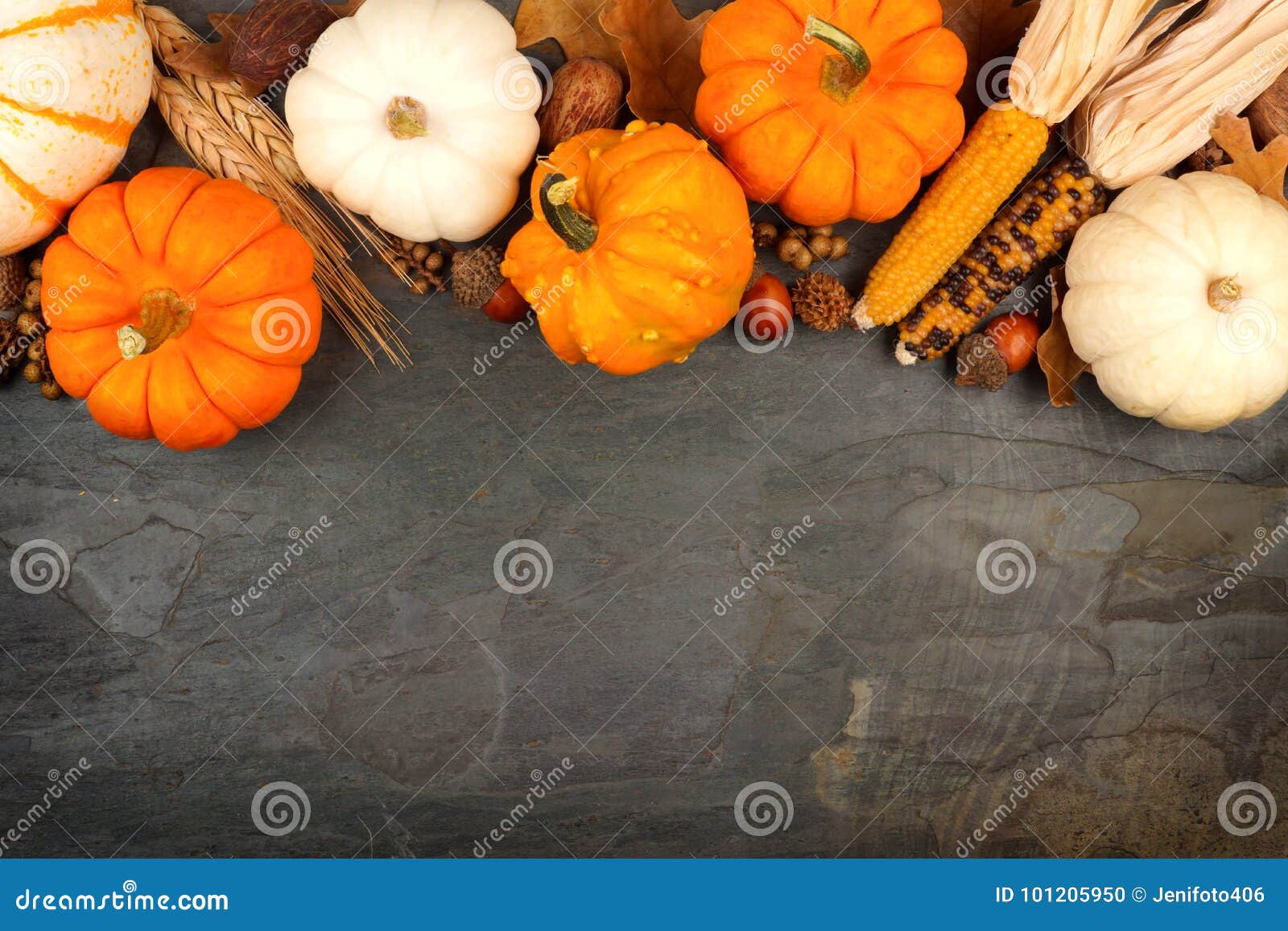 autumn harvest top border over a slate background