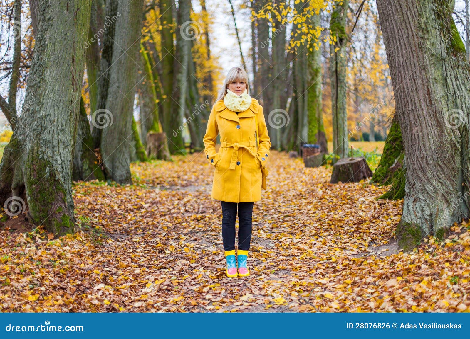 Autumn has come stock photo. Image of autumn, girl, trees 28076826