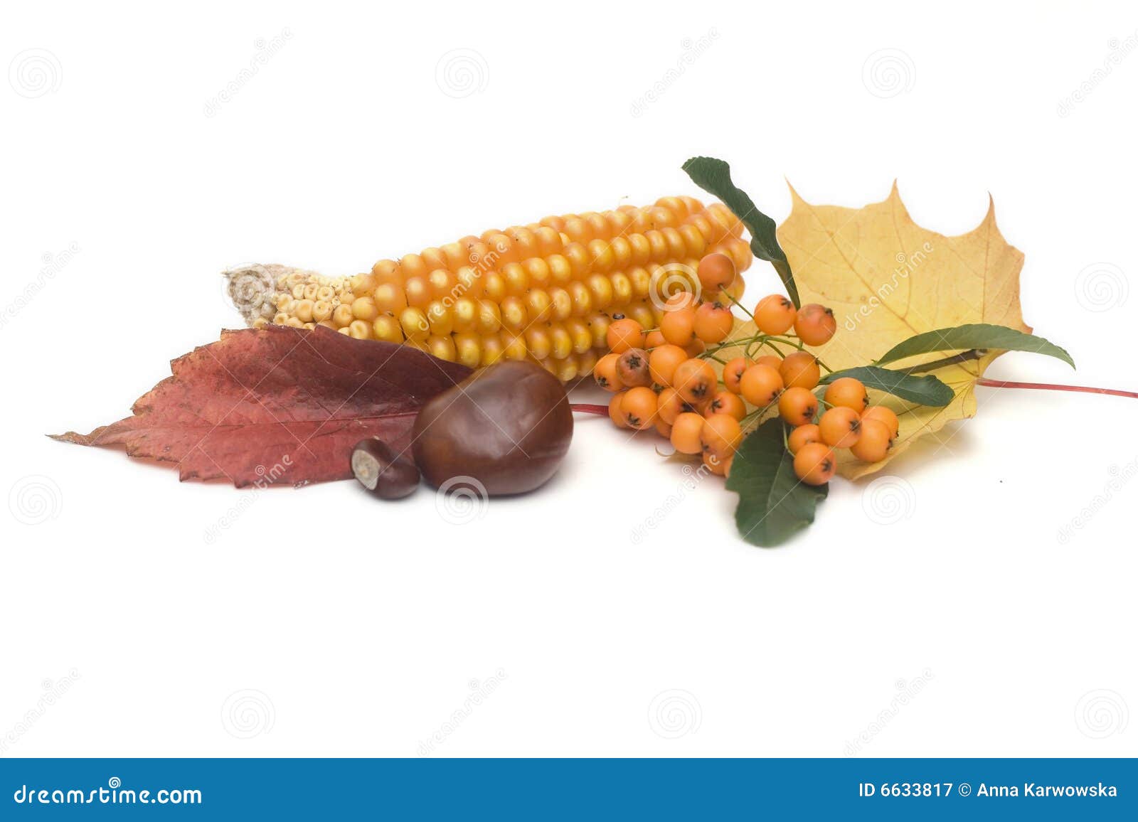 Autumn has come stock image. Image of fruit, cereal, happy 6633817