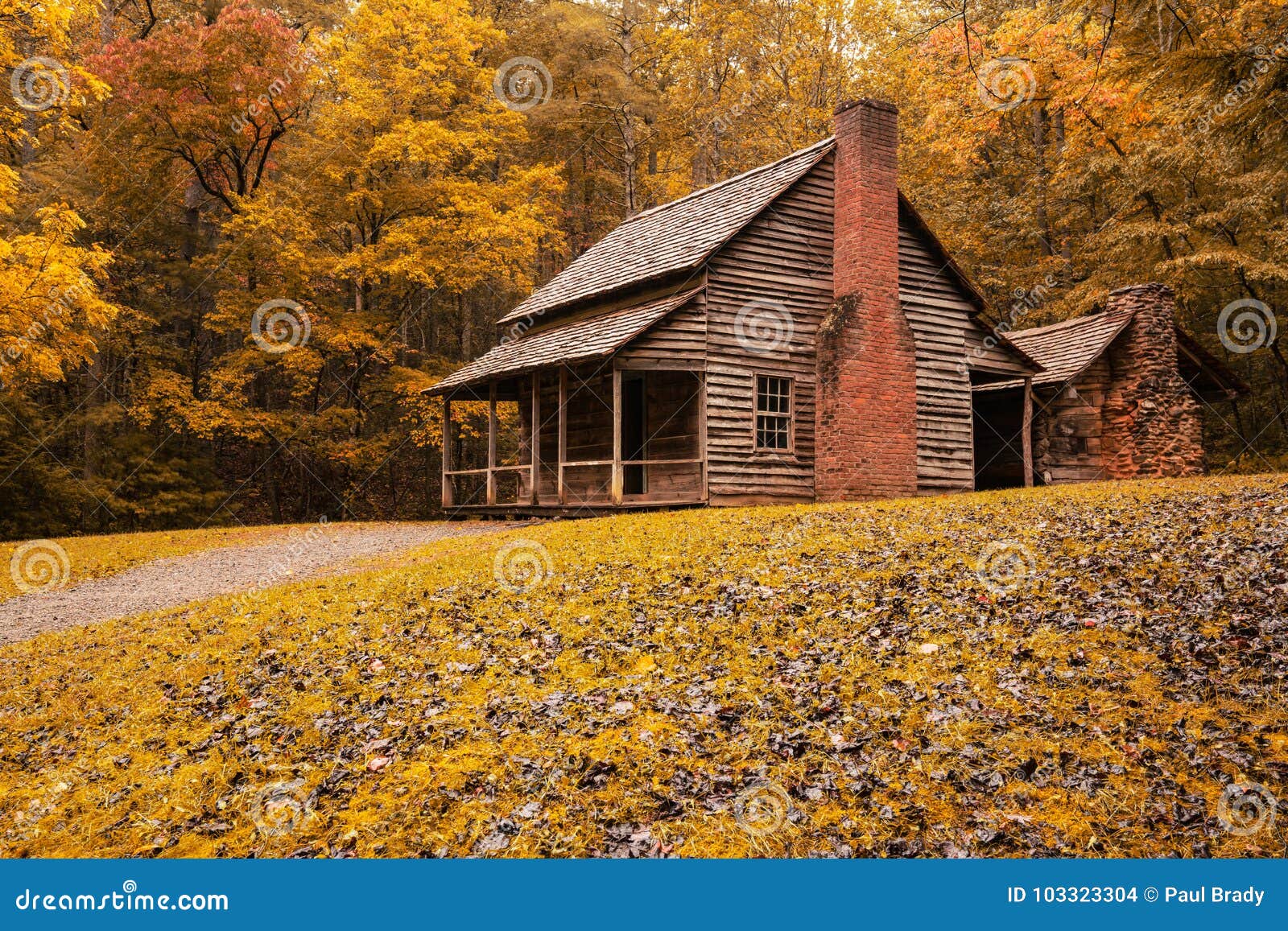 autumn at the henry whitehead cabin