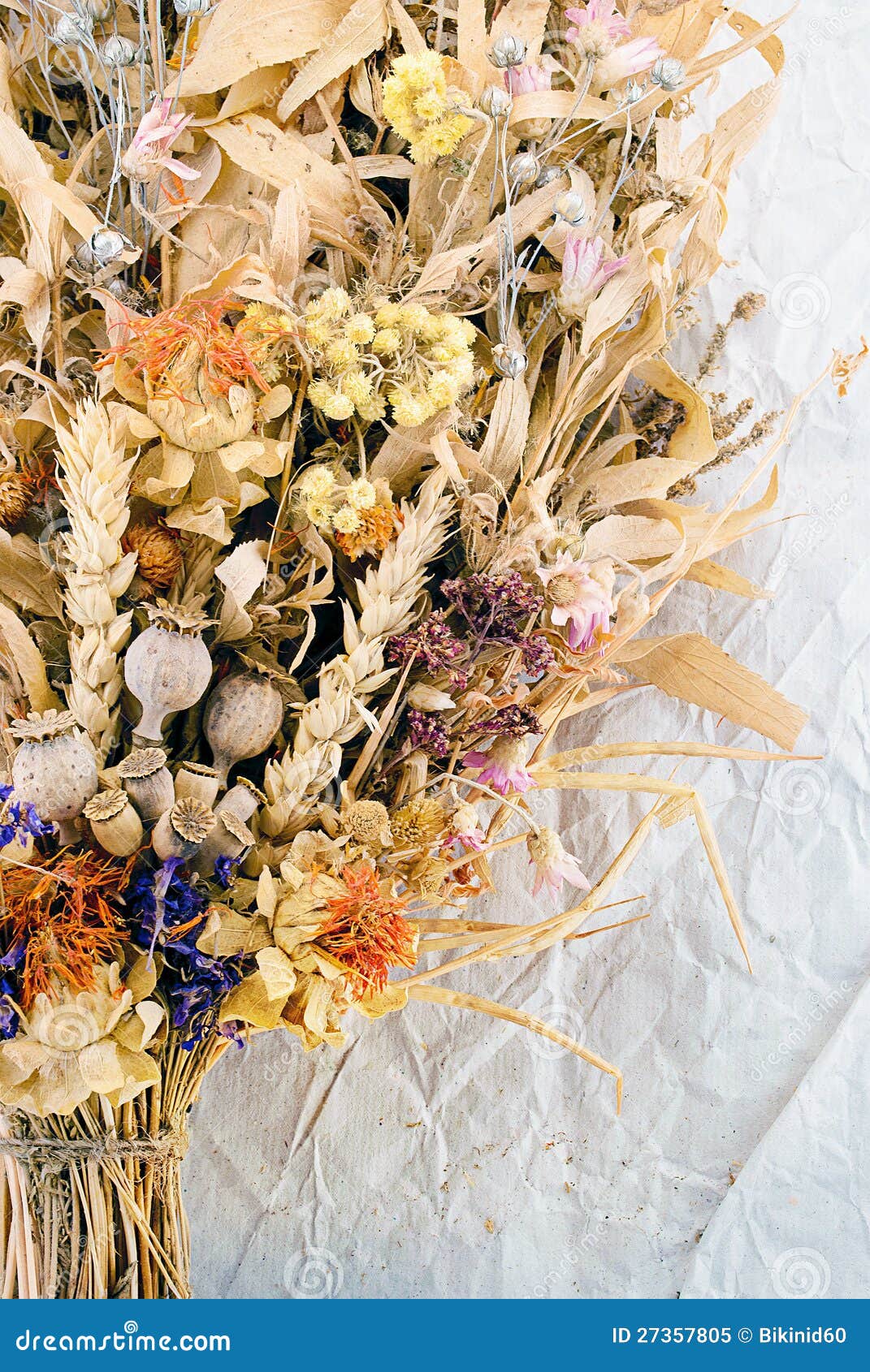 Autumn herbs. stock image. Image of herbal, flower, autumn 27357805