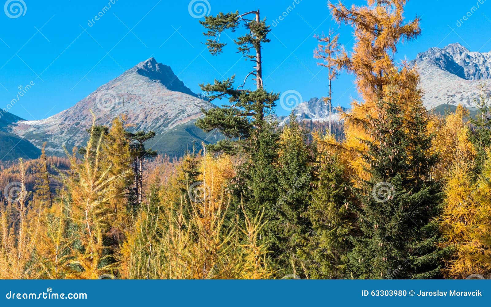 Autumn in High Tatras, Slovakia Stock Photo Image of tatry, forest