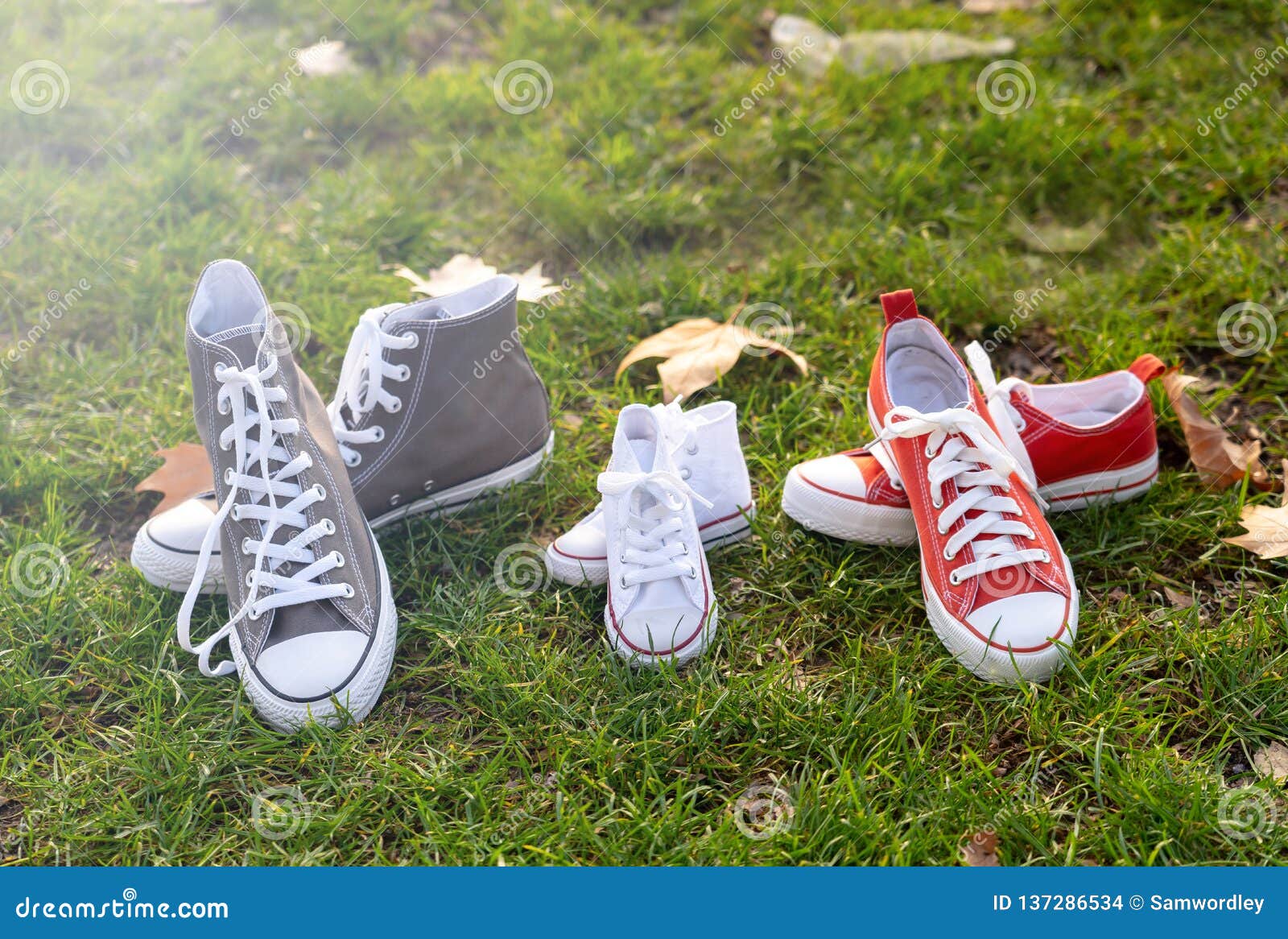 Autumn Image of Family Shoes Sneakers Gumshoes on Grass in Sunset Light ...