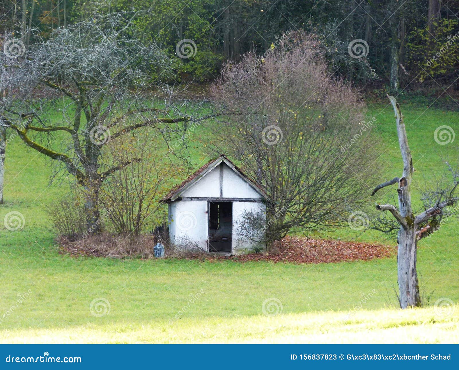 Green Meadow With Garden Shed Between 2 Trees Stock Image Image