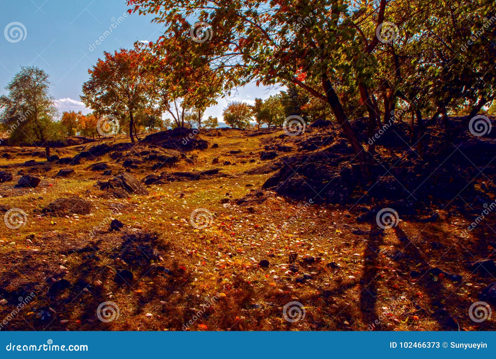 autumn in lake jingpo