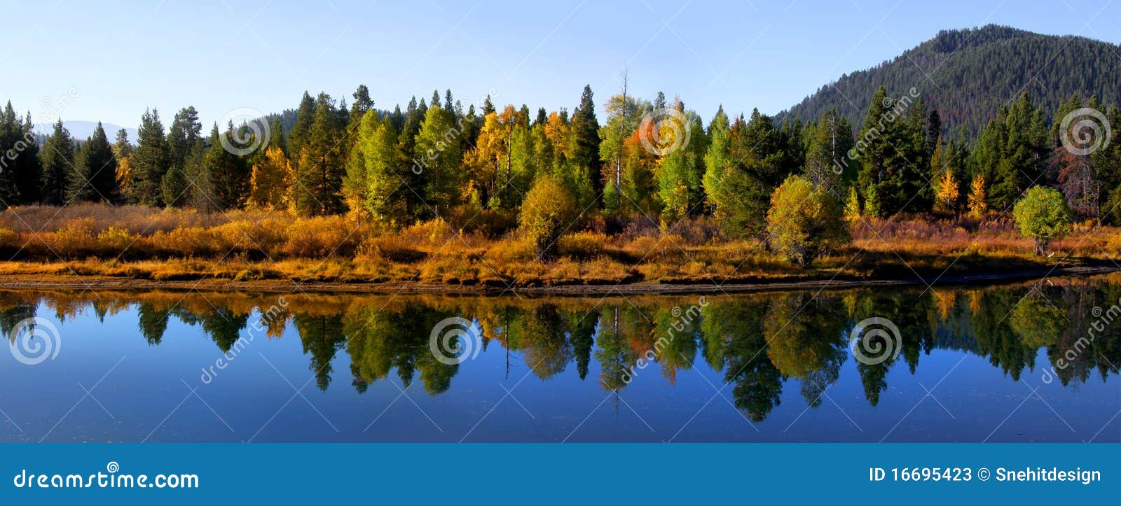 Autumn landscape stock image. Image of scenery, park - 16695423