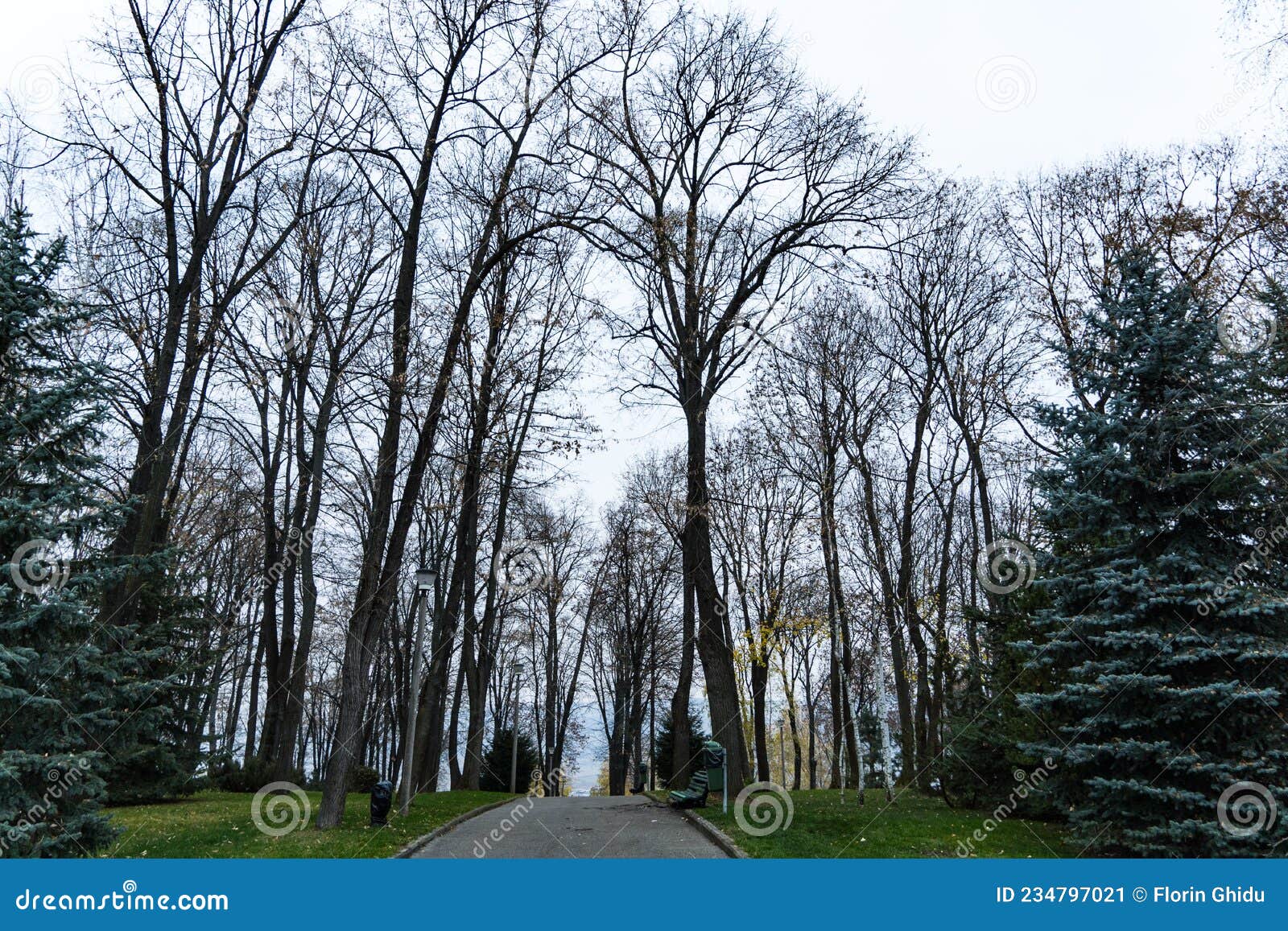 autumn landscape, copou park, vaslui city, romania