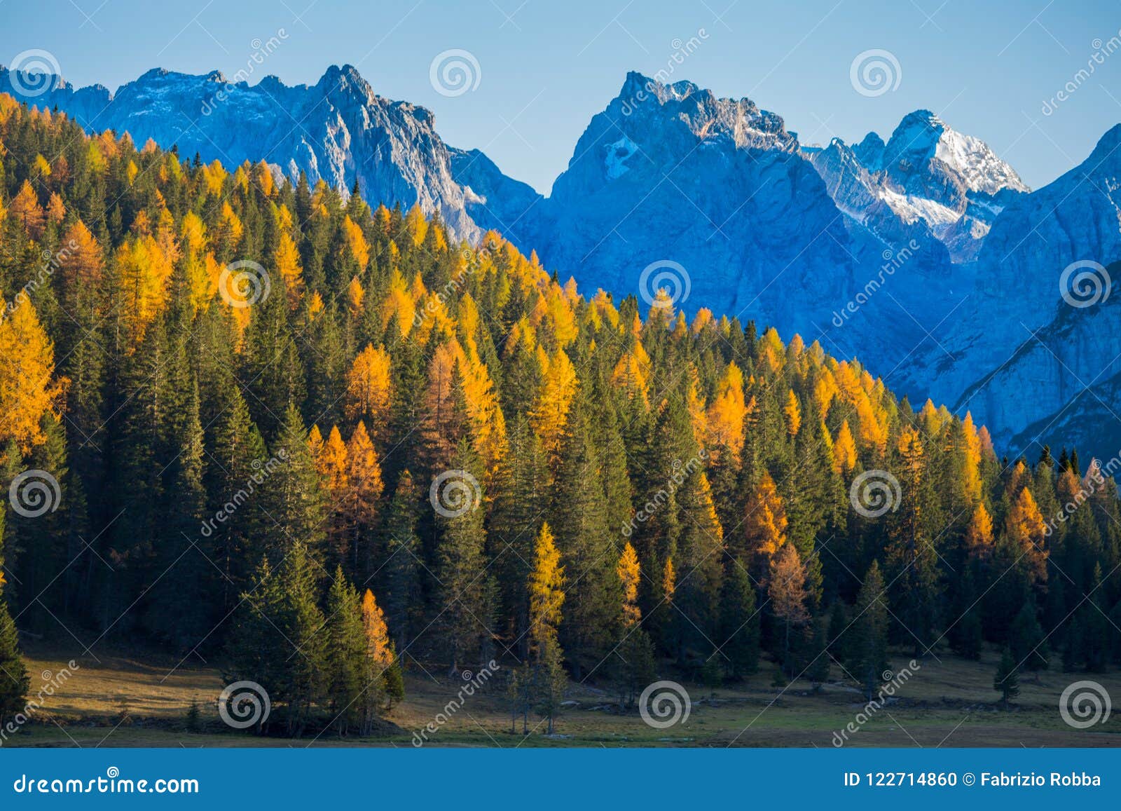 autumn landscape in dolomites, italy. mountains, fir trees and larches that change color assuming the typical yellow autumn color.