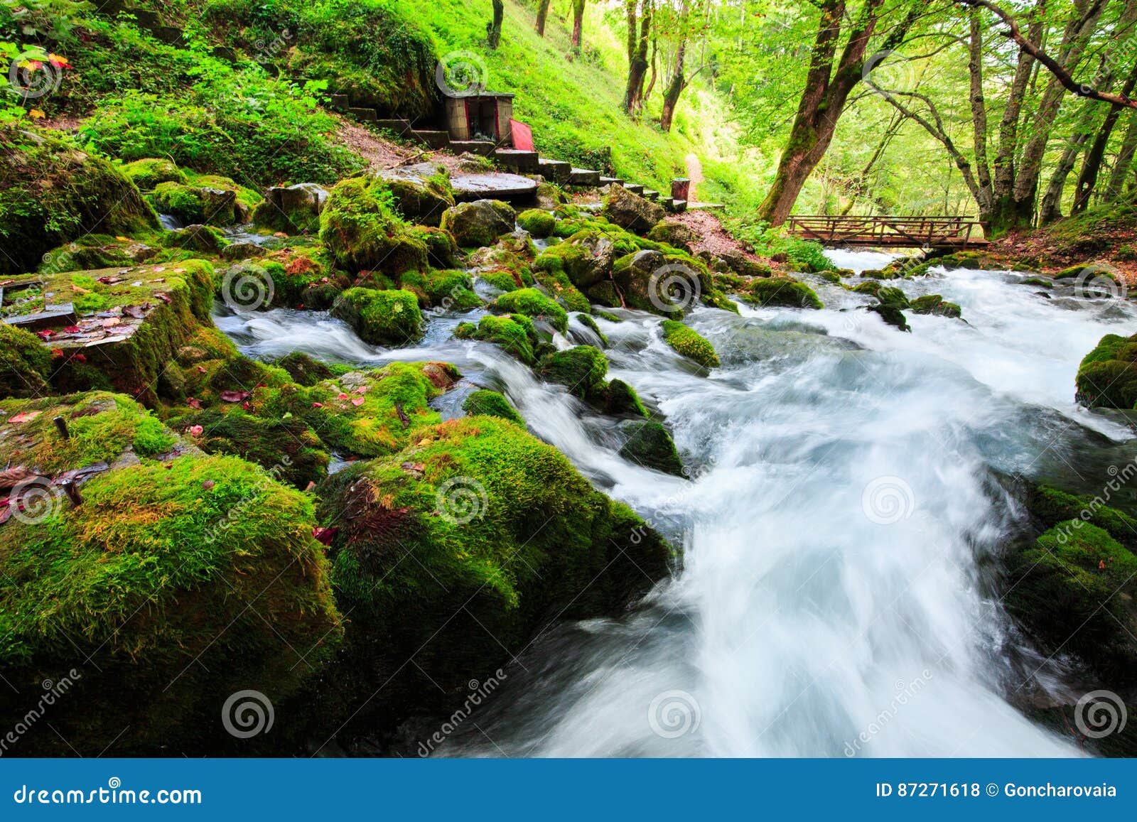 Autumn Landscape With Mountain River Flowing Among Mossy Stones Through