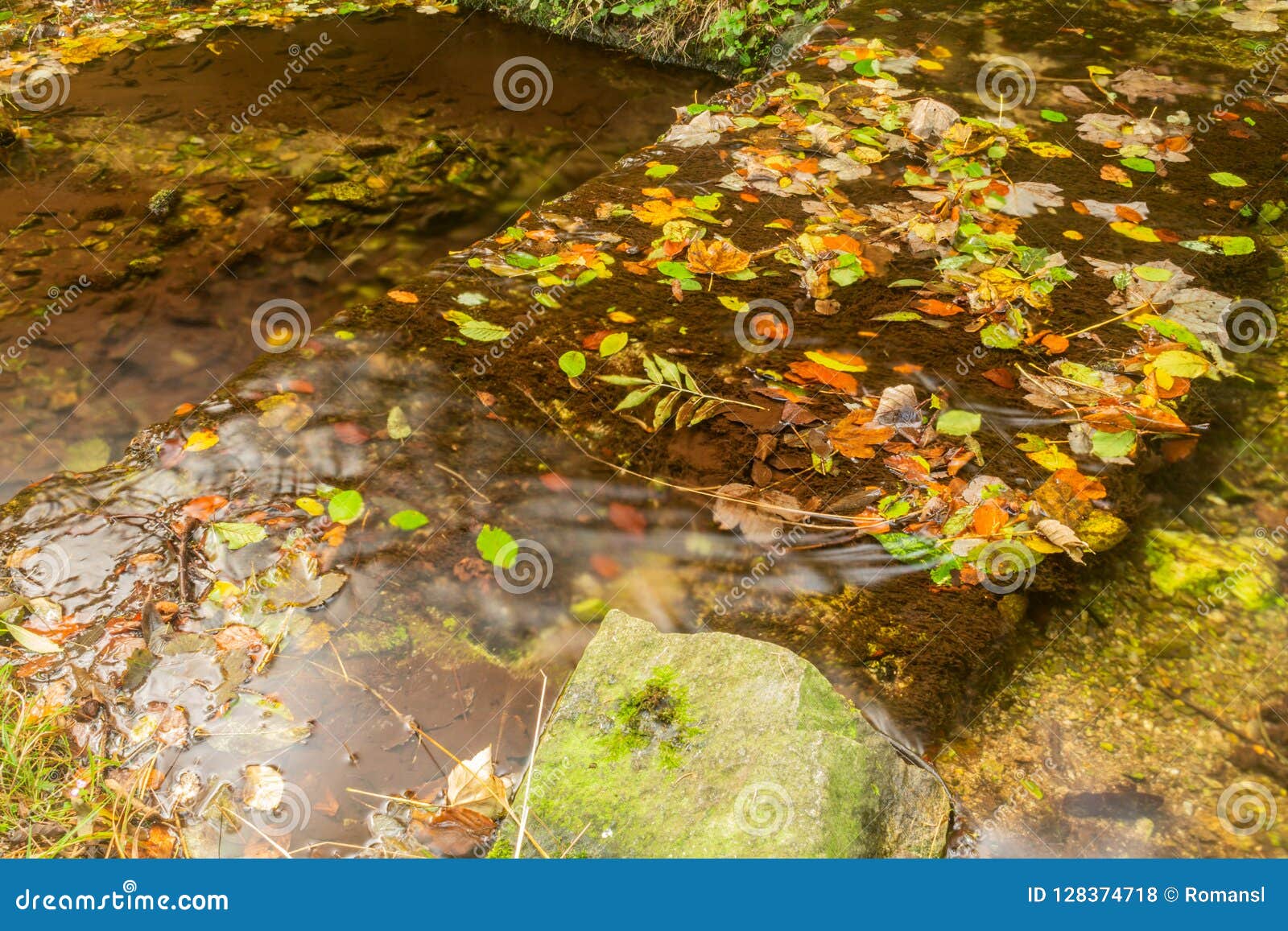 Autumn Landscape With Mountain River Flowing Among Mossy Stones Through