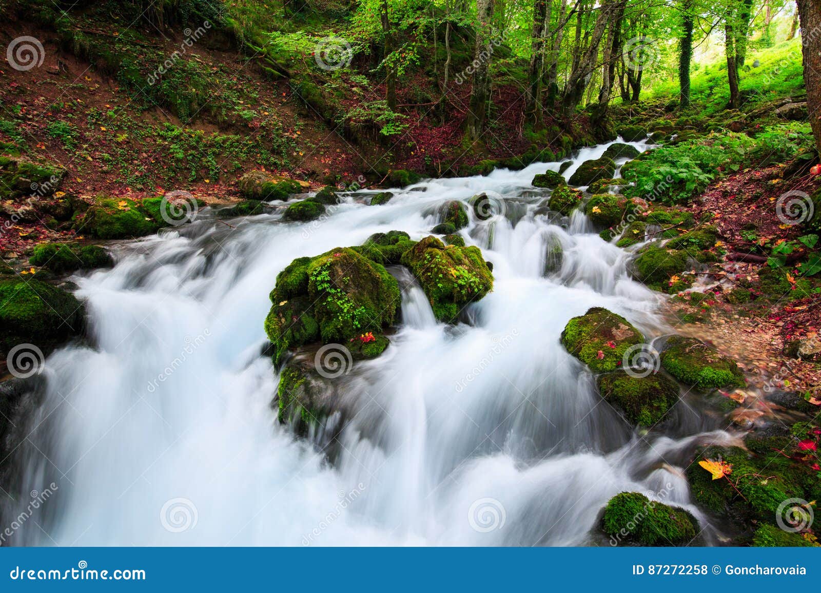 Autumn Landscape With Mountain River Flowing Among Mossy Stones Through