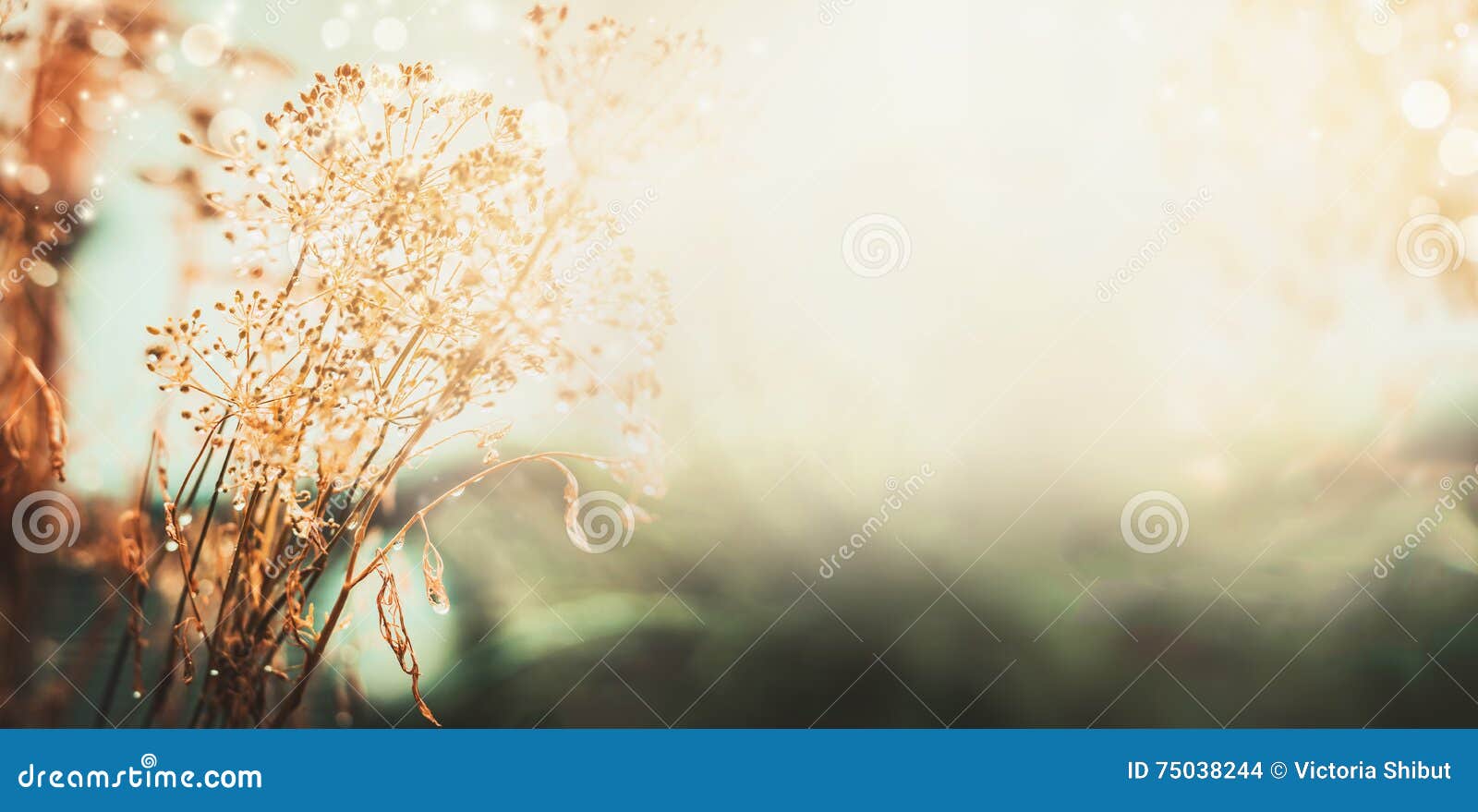 18,915,410 Nature Background Stock Photos - Free & Royalty-Free Stock  Photos from Dreamstime