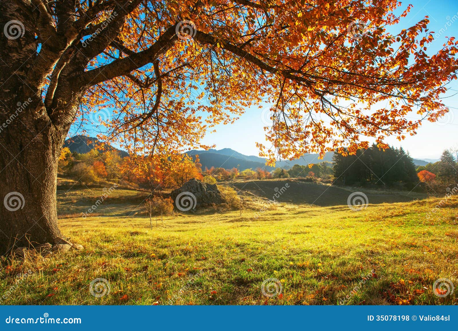 autumn landscape
