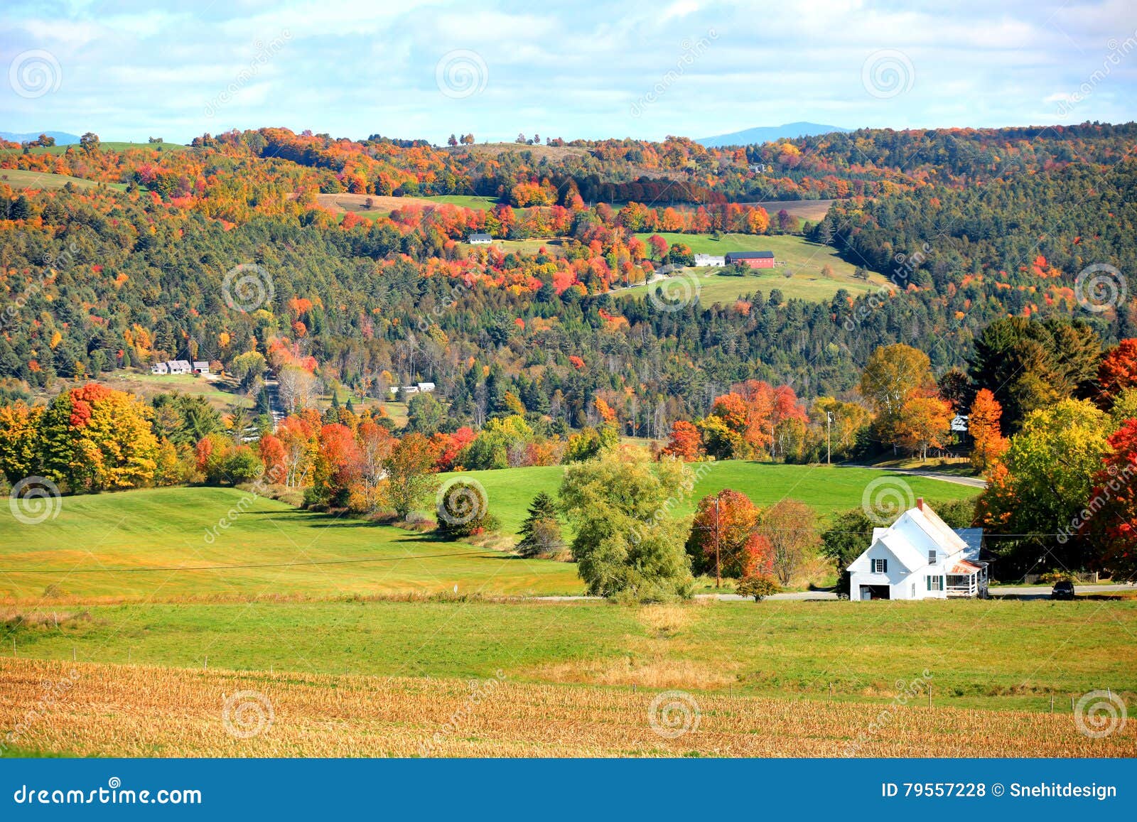 Autumn Landscape in Rural Vermont Stock Photo Image of farm, forest
