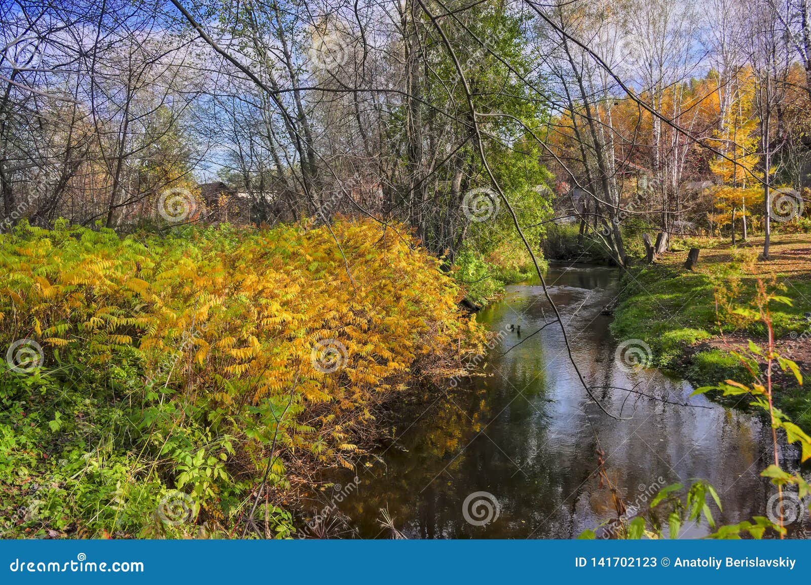 Autumn Landscape with Small Rural River at the Edge of the Village