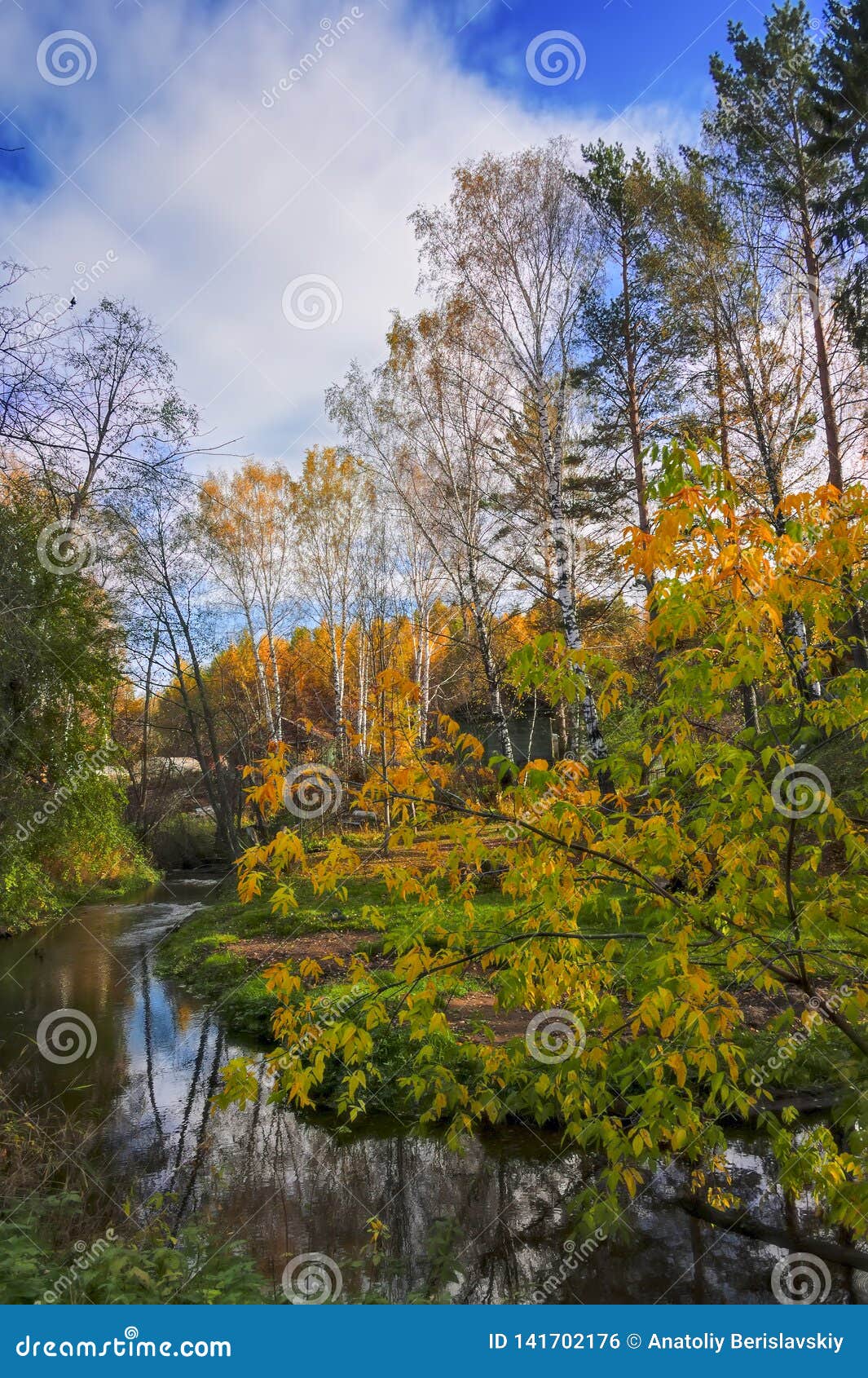 Autumn Landscape with Small Rural River at the Edge of the Village