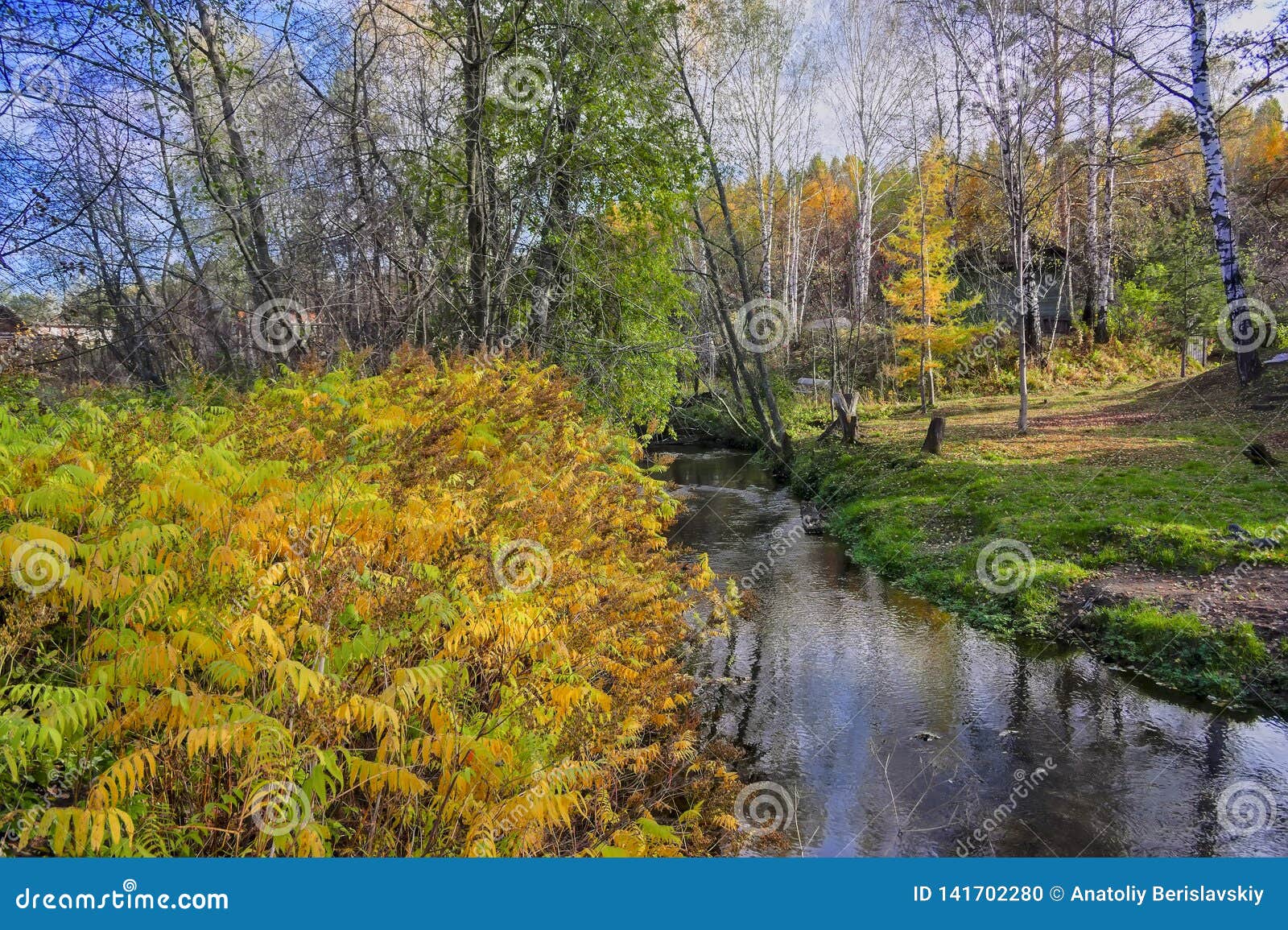 Autumn Landscape with Small Rural River at the Edge of the Village