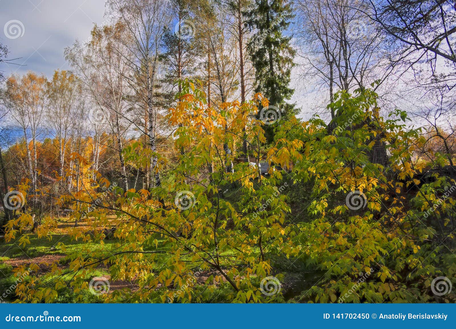 Autumn Landscape with Small Rural River at the Edge of the Village