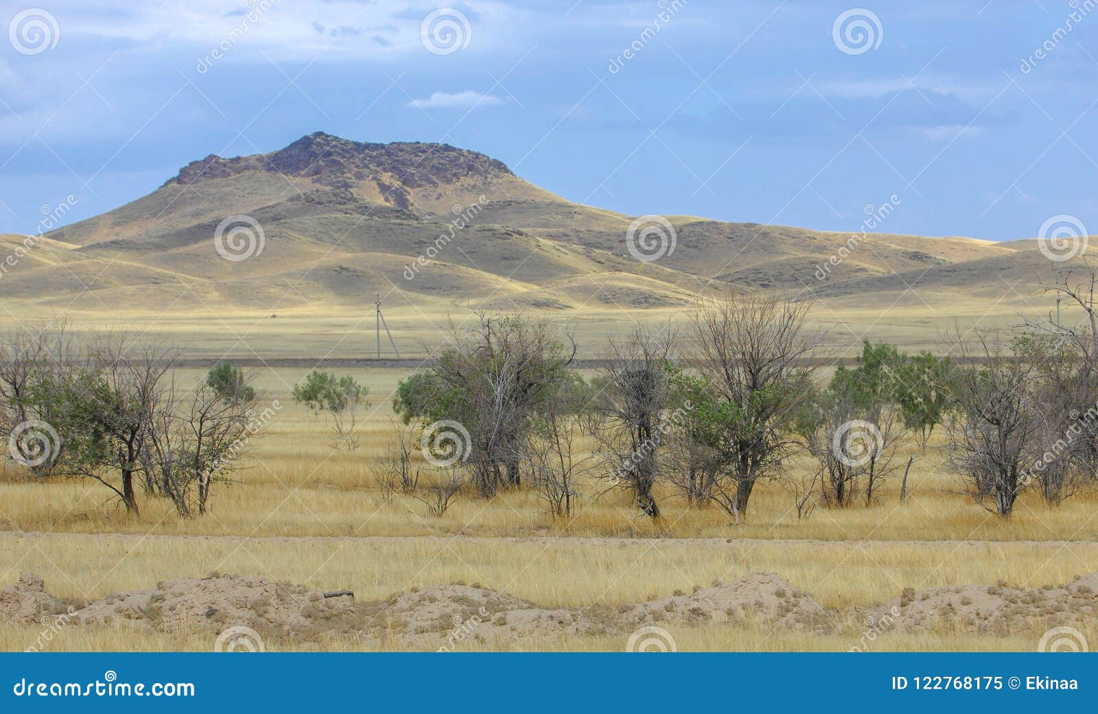 autumn landscape, steppe with mountains. prairie, veld, veldt. a