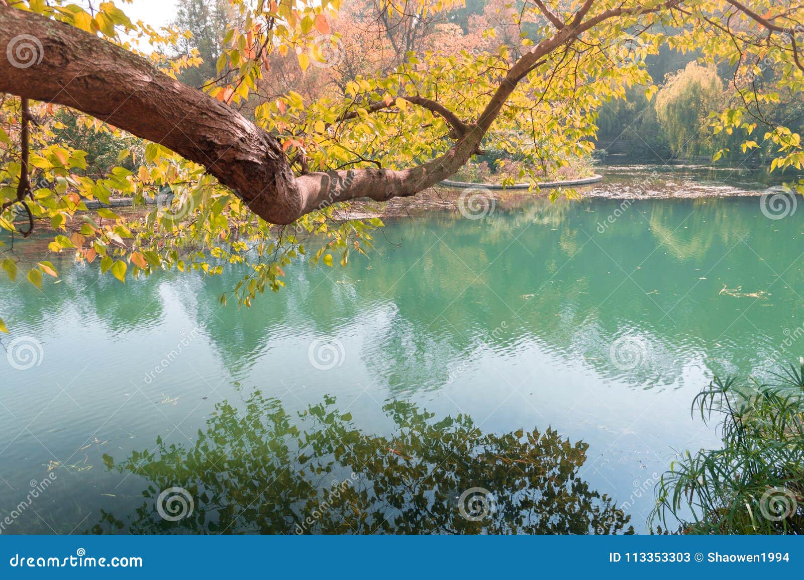 Autumn Landscape Yellow Leaves On Trees And Blue River Stock Image