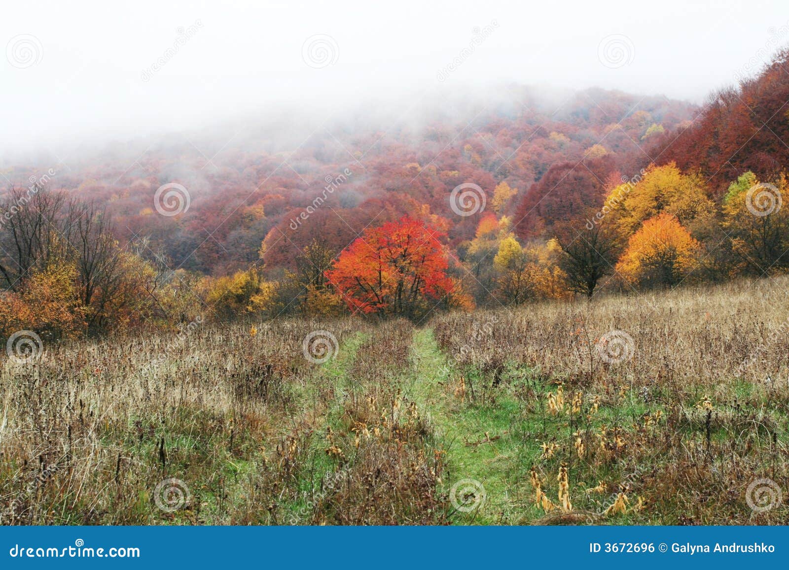 autumn landscapes